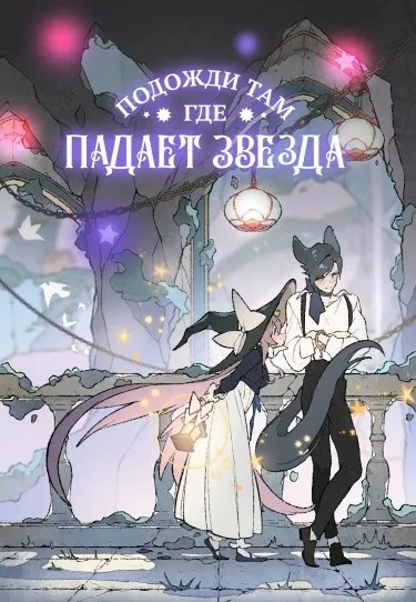Подожди там, где падает звезда!