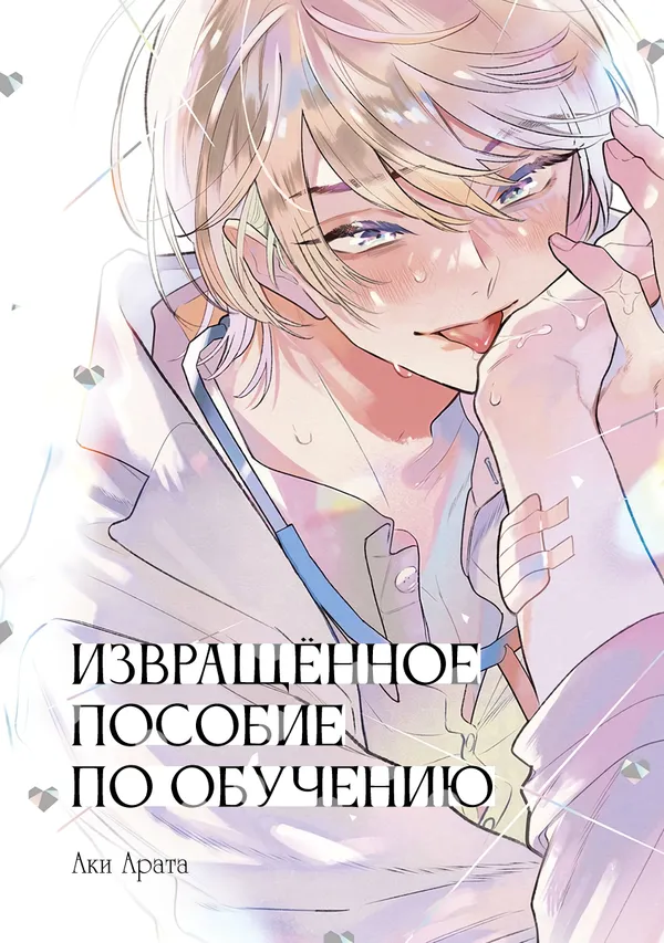 Извращённое пособие по обучению